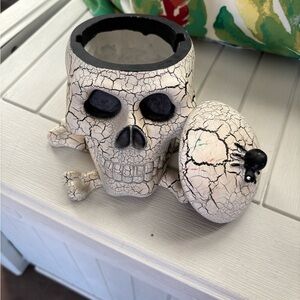 Cracked Skull Art Decor with Black Accents